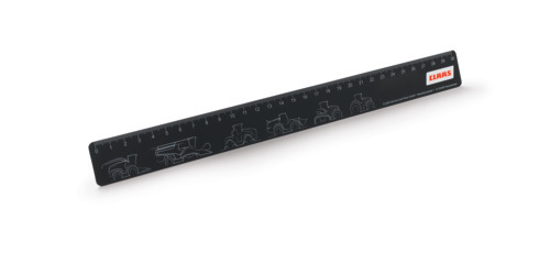 Ruler 30 cm / 12 Inches