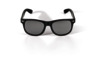 Sunglasses TERRA TRAC